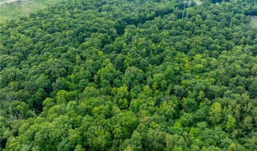 Photo #10 of 4881 Centerville Road, Williamsburg, Virginia 13.9 acres
