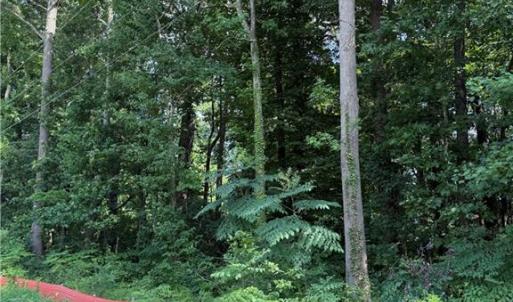 Photo #3 of 1117 Jackson Street, Virginia Beach, Virginia 1.1 acres