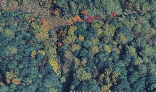 Photo #3 of 14307 Lawnes Creek Crossing, Smithfield, Virginia 5.0 acres