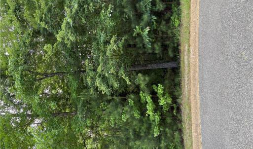 Photo #3 of 119 Hurlston, Williamsburg, Virginia 1.7 acres