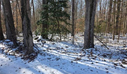 Photo #1 of Whitetail Drive, Gloucester, Virginia 12.0 acres