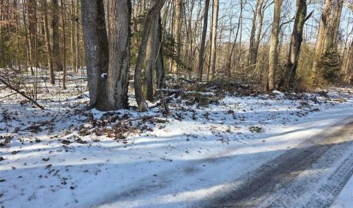 Photo #3 of Whitetail Drive, Gloucester, Virginia 12.0 acres
