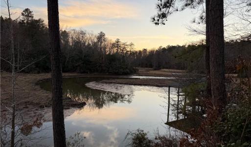 Photo #15 of 13441 Morris Creek Crescent, Charles City, Virginia 5.2 acres