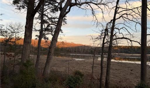 Photo #18 of 13441 Morris Creek Crescent, Charles City, Virginia 5.2 acres