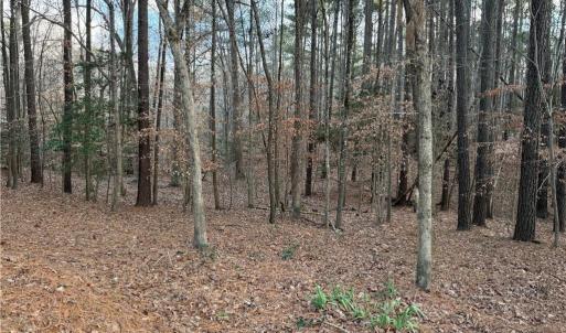 Photo #10 of 13441 Morris Creek Crescent, Charles City, Virginia 5.2 acres