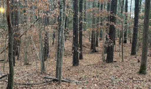 Photo #11 of 13441 Morris Creek Crescent, Charles City, Virginia 5.2 acres