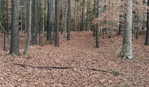 Photo #12 of 13441 Morris Creek Crescent, Charles City, Virginia 5.2 acres