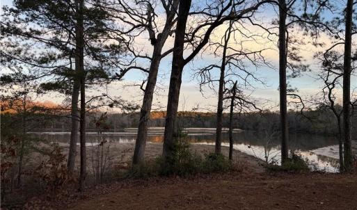 Photo #14 of 13441 Morris Creek Crescent, Charles City, Virginia 5.2 acres
