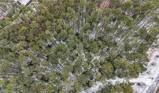 Photo #24 of 13441 Morris Creek Crescent, Charles City, Virginia 5.2 acres