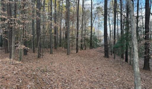 Photo #8 of 13441 Morris Creek Crescent, Charles City, Virginia 5.2 acres