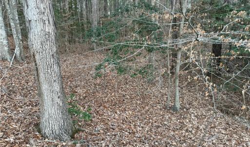 Photo #13 of 13441 Morris Creek Crescent, Charles City, Virginia 5.2 acres