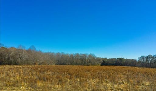 Photo #4 of 8374 Rolfe (Lot C) Highway, Dendron, Virginia 6.4 acres