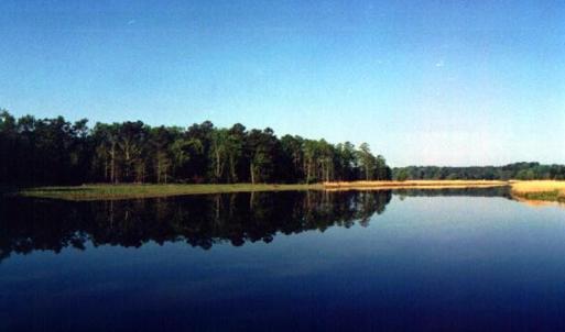 Looking downstream at property towards Jamestown on Powhatan Creek