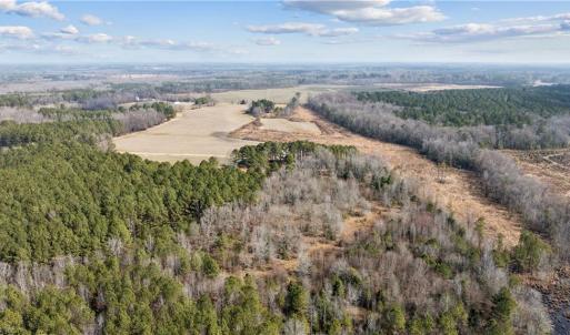 Photo #12 of 10445 Southampton Parkway, Drewryville, Virginia 165.1 acres