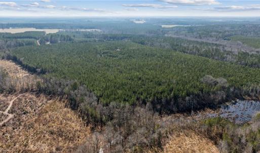 Photo #15 of 10445 Southampton Parkway, Drewryville, Virginia 165.1 acres