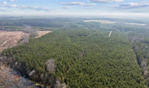 Photo #10 of 10445 Southampton Parkway, Drewryville, Virginia 165.1 acres