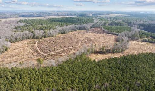 Plenty of room to build one or multiple homes.