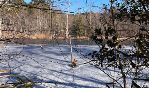 Photo #16 of 10445 Southampton Parkway, Drewryville, Virginia 165.1 acres