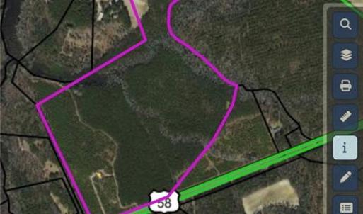 Photo #3 of 10445 Southampton Parkway, Drewryville, Virginia 165.1 acres