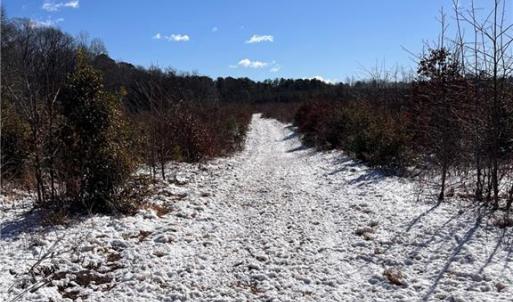 Photo #22 of 10445 Southampton Parkway, Drewryville, Virginia 165.1 acres