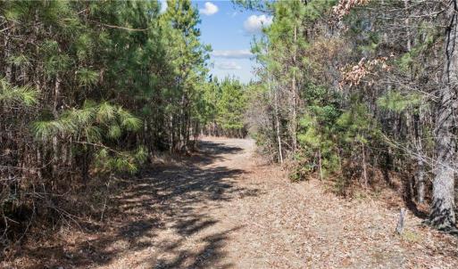 3,000 feet of well maintained trails