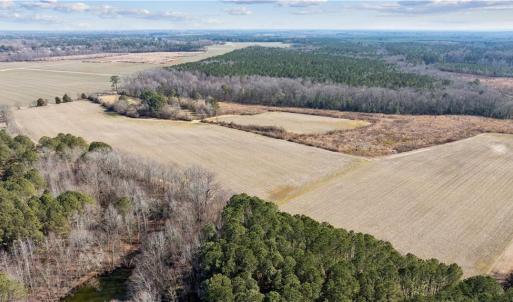 Photo #30 of 10445 Southampton Parkway, Drewryville, Virginia 165.1 acres