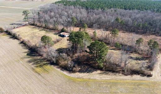 Photo #31 of 10445 Southampton Parkway, Drewryville, Virginia 165.1 acres
