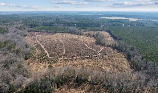 Aerial view showing more of the trails