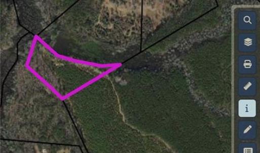 Photo #6 of 10445 Southampton Parkway, Drewryville, Virginia 165.1 acres