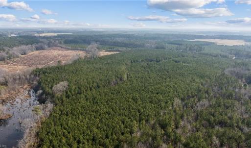 Beaver pond is located on the property