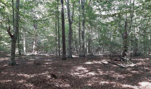 Photo #2 of 6592 Blackwater Road, Virginia Beach, Virginia 4.0 acres