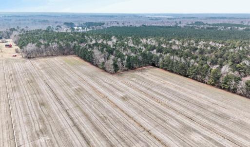 Photo #1 of 556 B Gallbush Road, Chesapeake, Virginia 142.3 acres