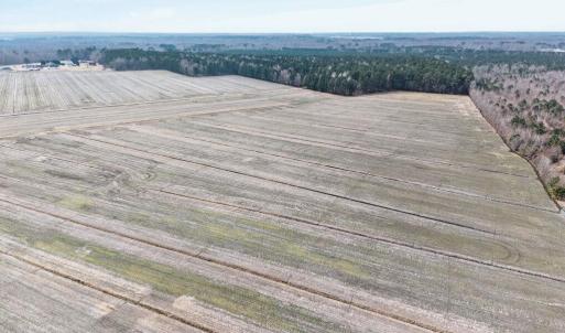 Photo #5 of 556 B Gallbush Road, Chesapeake, Virginia 142.3 acres