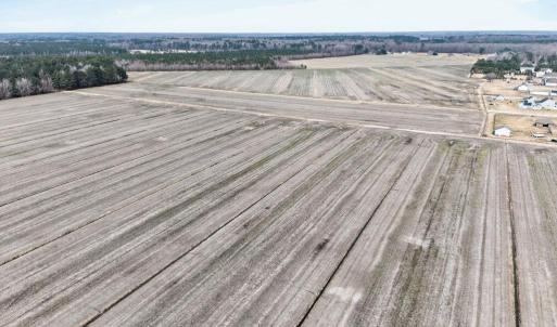 Photo #6 of 556 B Gallbush Road, Chesapeake, Virginia 142.3 acres