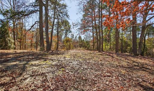 Photo #3 of .659 Old Virginia Beach Road, Virginia Beach, Virginia 0.7 acres