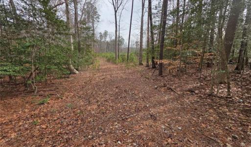 Photo #1 of Buckskin Trl Trail, Gloucester, Virginia 5.0 acres