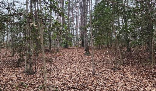 Photo #1 of 5.23Ac Courthouse Road, Providence Forge, Virginia 5.2 acres