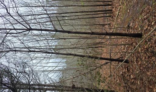 Photo #1 of 4200 John (304362300) Street, Suffolk, Virginia 1.0 acres