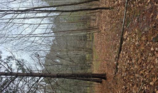 Photo #3 of 4200 John (304362300) Street, Suffolk, Virginia 1.0 acres