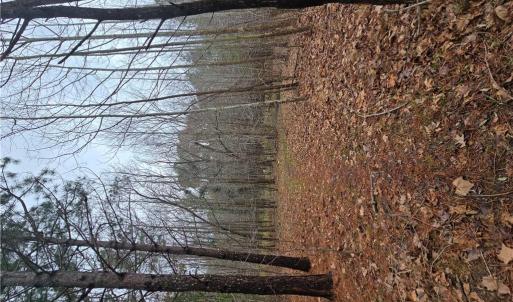 Photo #4 of 4200 John (304362300) Street, Suffolk, Virginia 1.0 acres