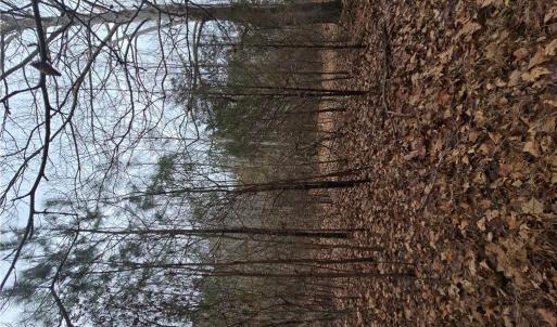 Photo #5 of 4200 John (304362300) Street, Suffolk, Virginia 1.0 acres