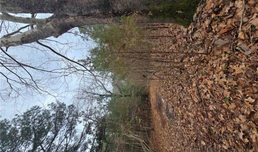 Photo #6 of 4200 John (304362300) Street, Suffolk, Virginia 1.0 acres