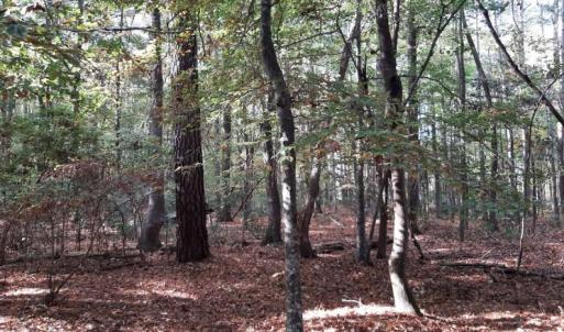 Photo #1 of 6608 Blackwater Road, Virginia Beach, Virginia 3.4 acres