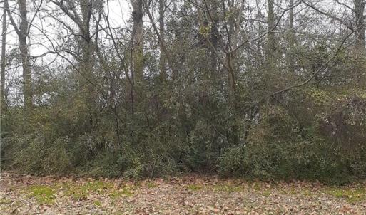 Photo #1 of .27c Hofflers Creek Park, Portsmouth, Virginia 0.3 acres