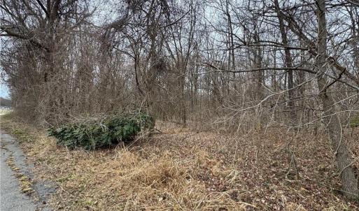 Photo #7 of 240 Dozier Road, Newport News, Virginia 1.0 acres