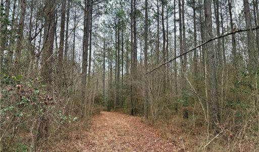 Photo #20 of 108 AC New & Seacock Chapel Road, Ivor, Virginia 108.3 acres