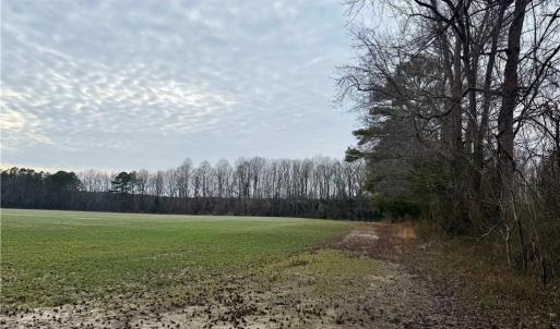 Hedge Row Where Property Line Begins - Off of New Road