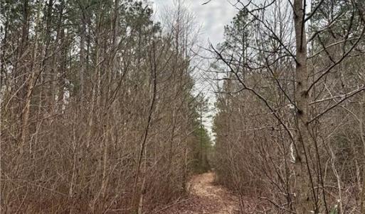 Photo #22 of 108 AC New & Seacock Chapel Road, Ivor, Virginia 108.3 acres