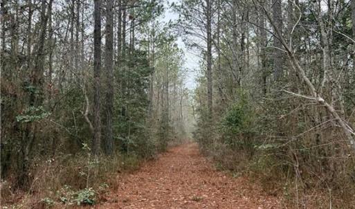 Photo #30 of 108 AC New & Seacock Chapel Road, Ivor, Virginia 108.3 acres