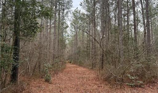 Photo #32 of 108 AC New & Seacock Chapel Road, Ivor, Virginia 108.3 acres